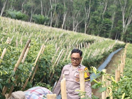 dalam rangka mendukung program asta cita presiden ri, bhabinkamtibmas polsek tanjung raya melaksanakan sambang dan binluh ketahanan pangan